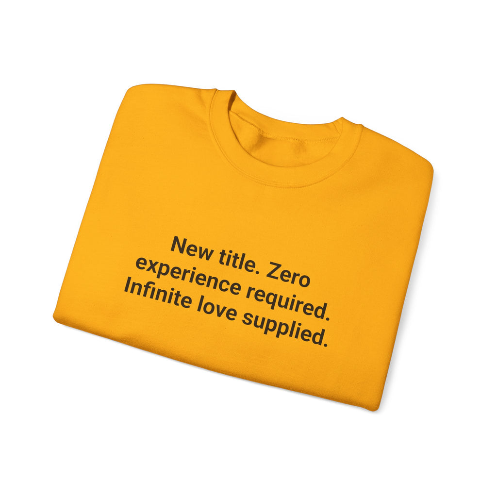 New Title. Zero Experience Required. - Sweatshirt for New Grandparents