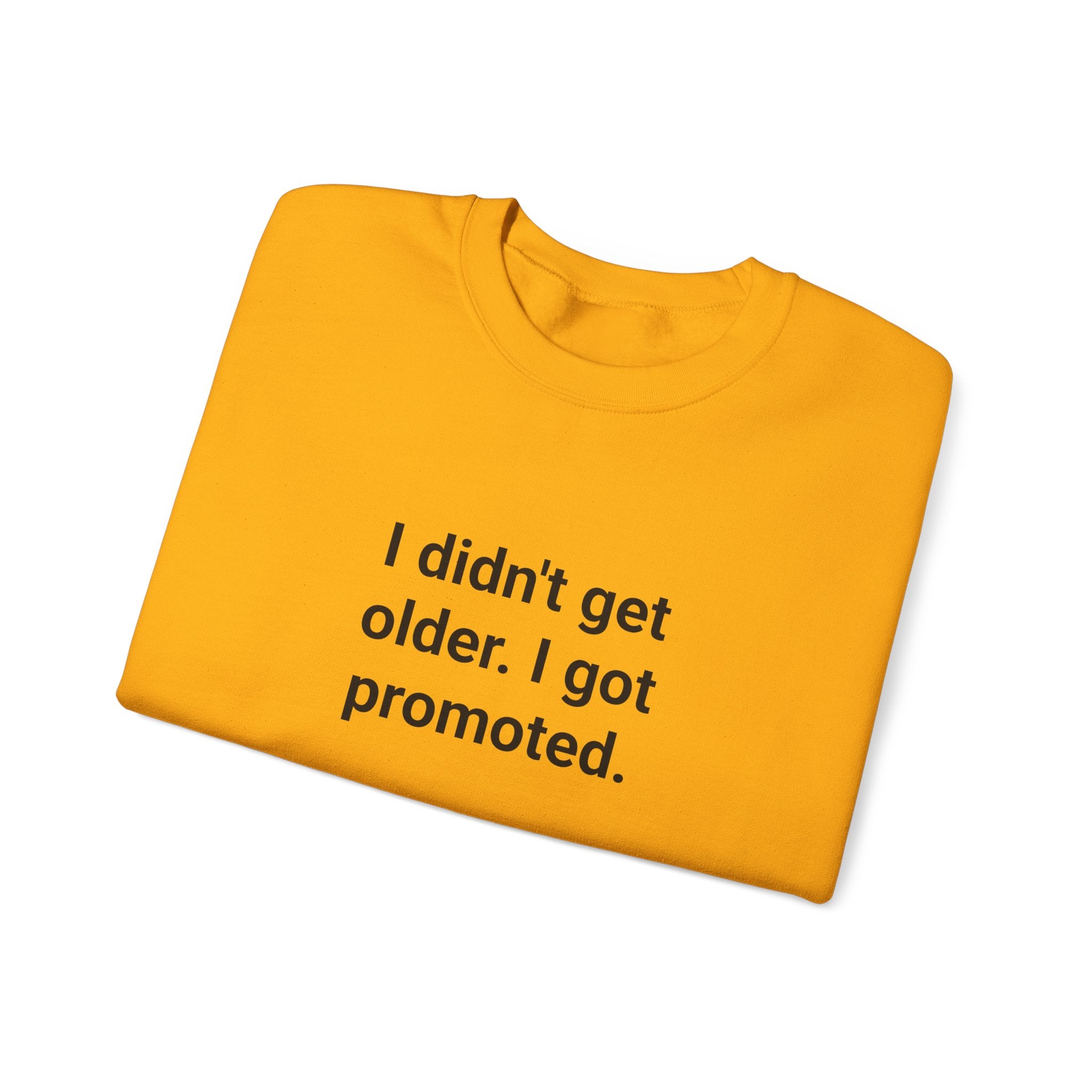 I Didn't Get Older I Got Promoted - Sweatshirt for New Grandparents