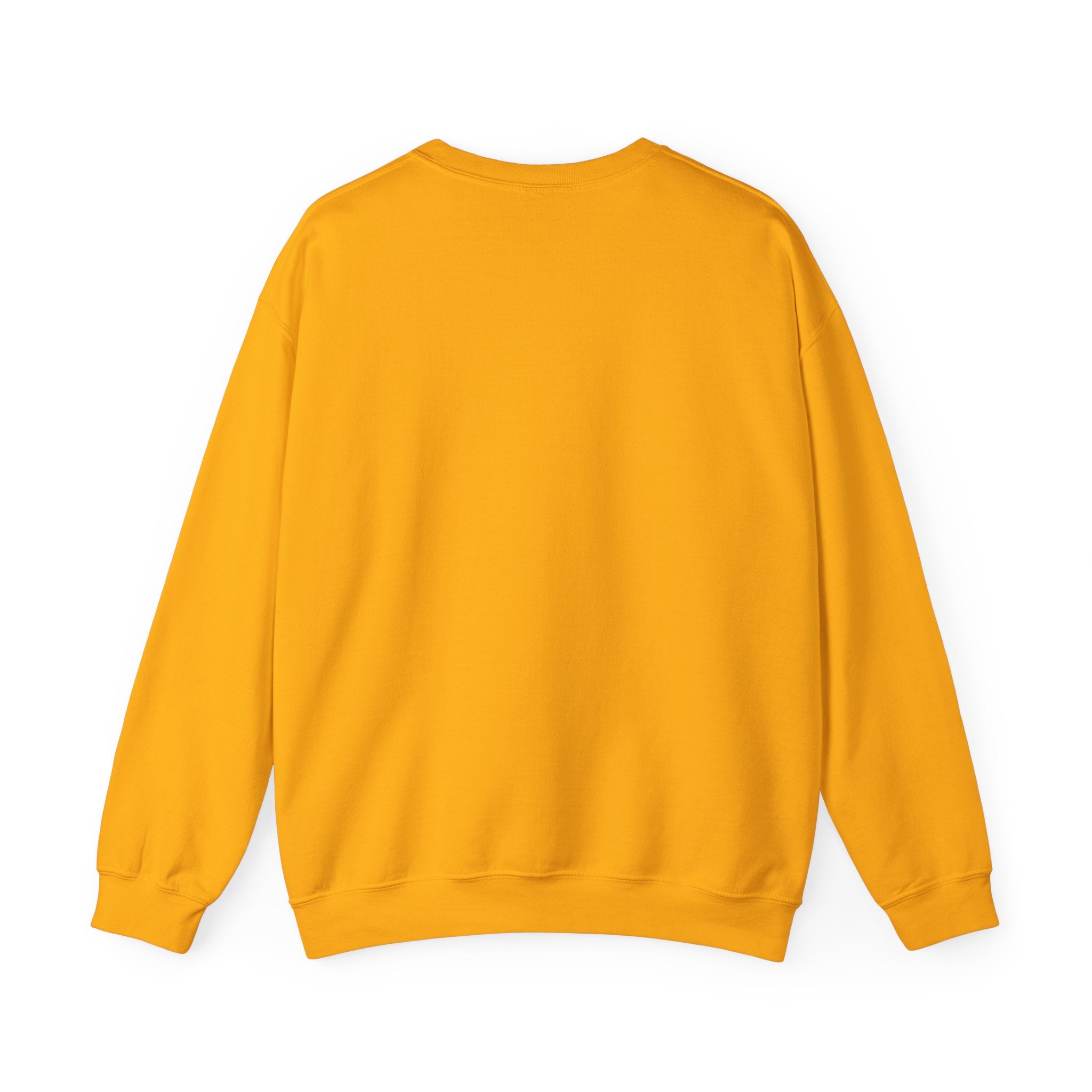 Certified to Tell You Your Form Is Wrong - Sweatshirt for New Personal Trainers