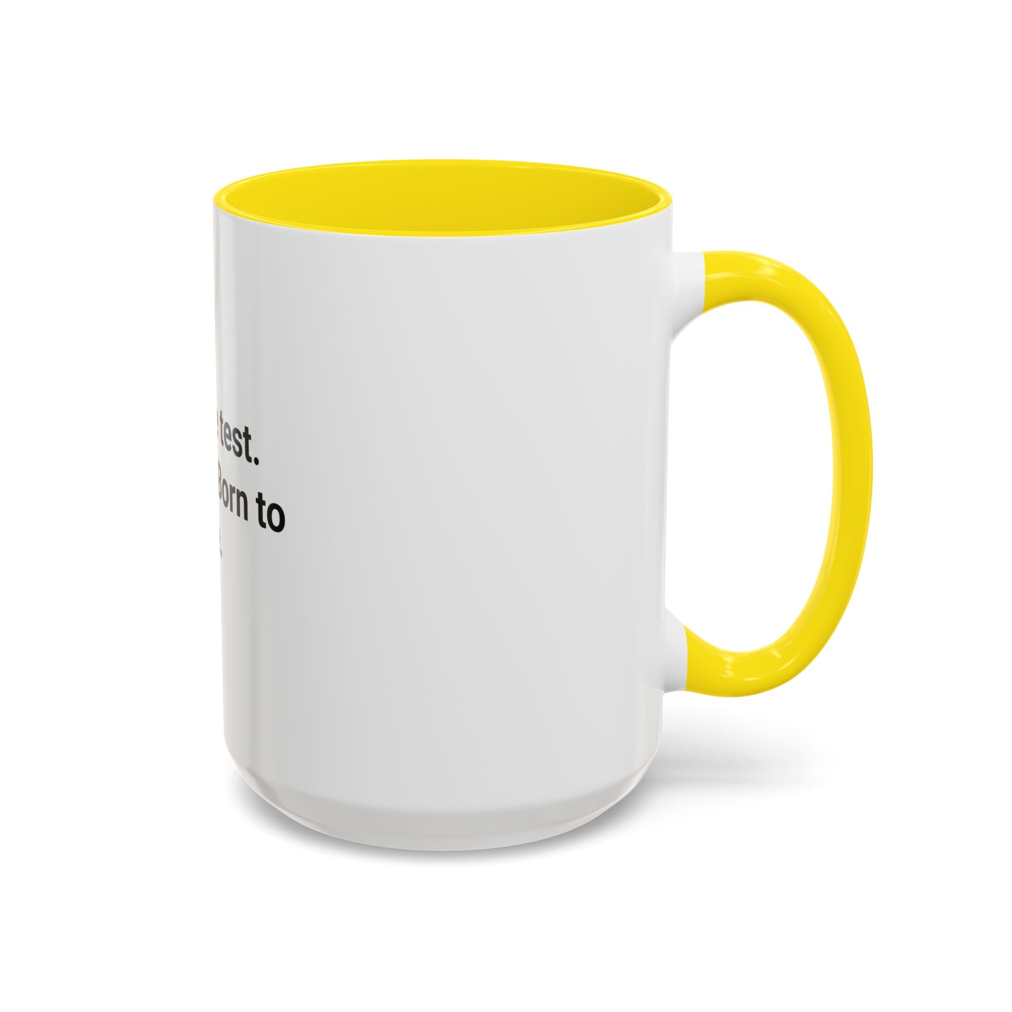 Took the Test. Nailed It. Born to Ride. - Mug for New Riders