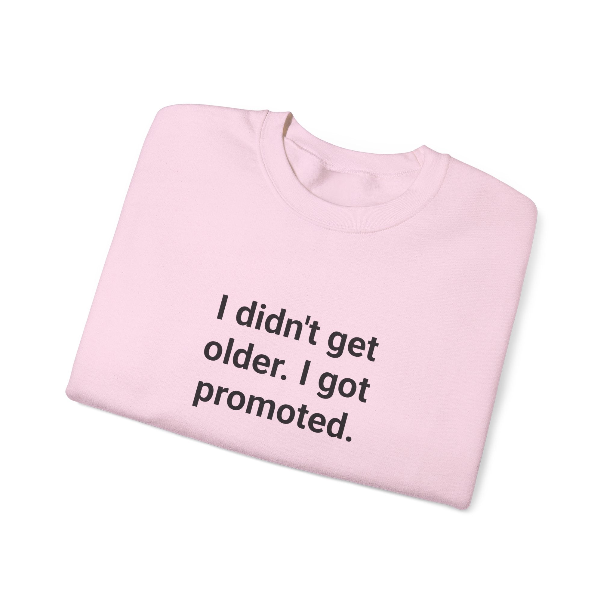 I Didn't Get Older I Got Promoted - Sweatshirt for New Grandparents