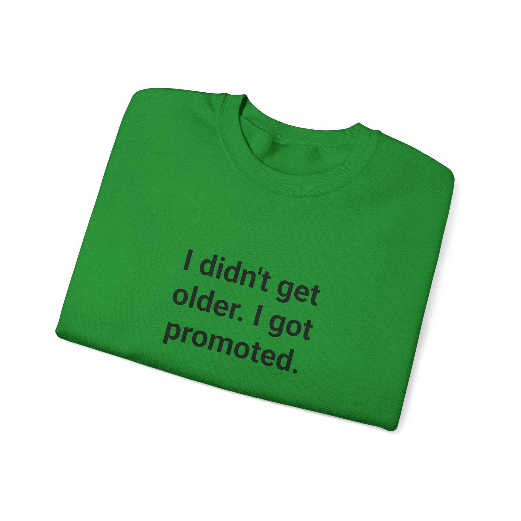 I Didn't Get Older I Got Promoted - Sweatshirt for New Grandparents
