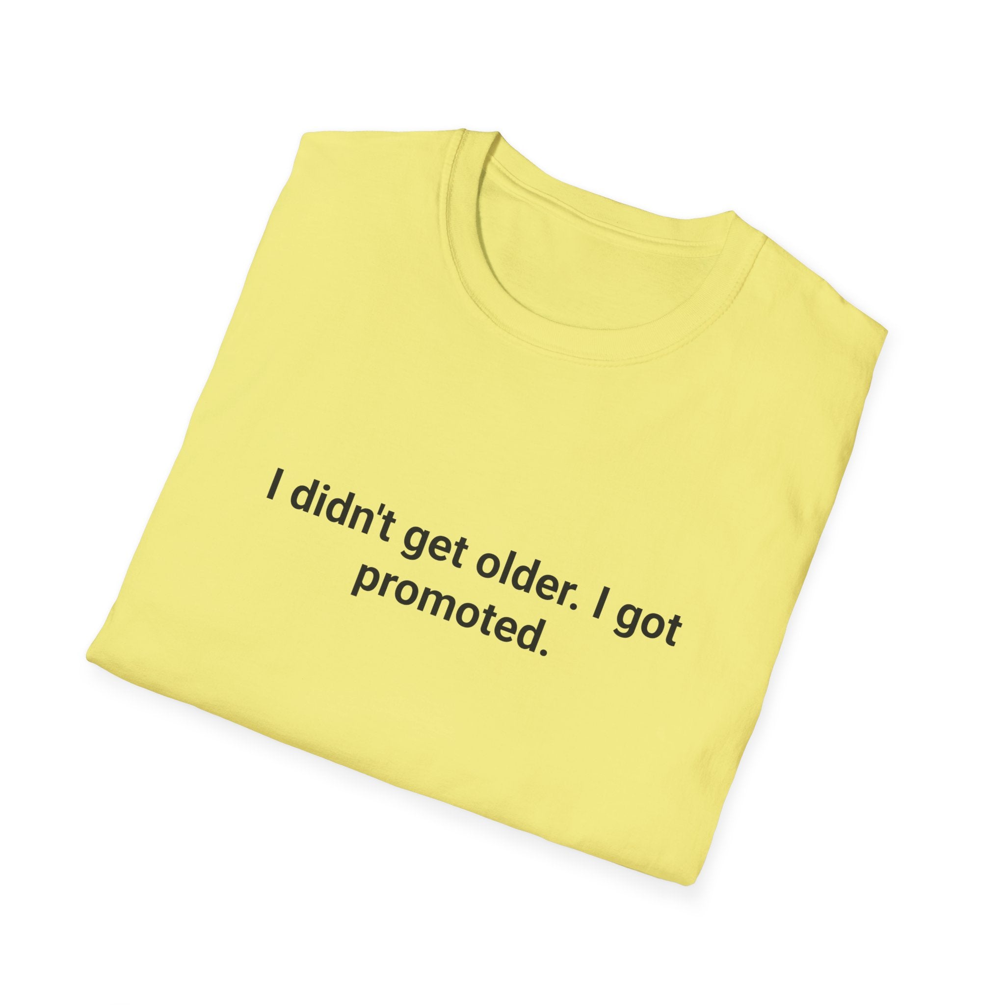I Didn't Get Older I Got Promoted - T-Shirt for New Grandparents
