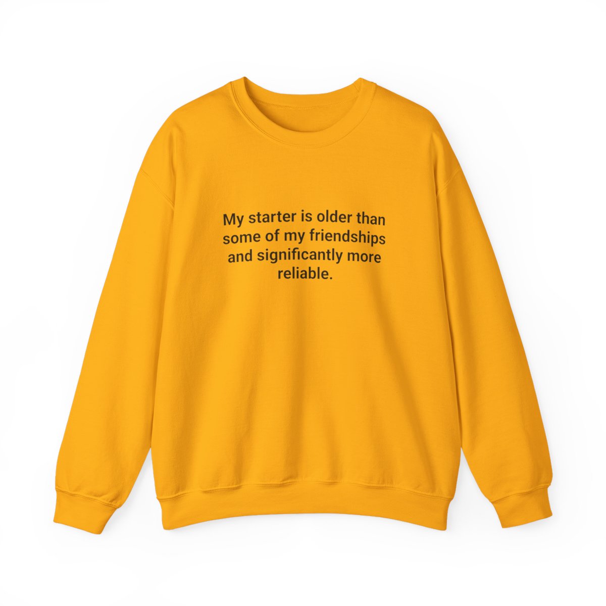 My Starter Is Older Than Some Friendships - Sourdough Sweatshirt