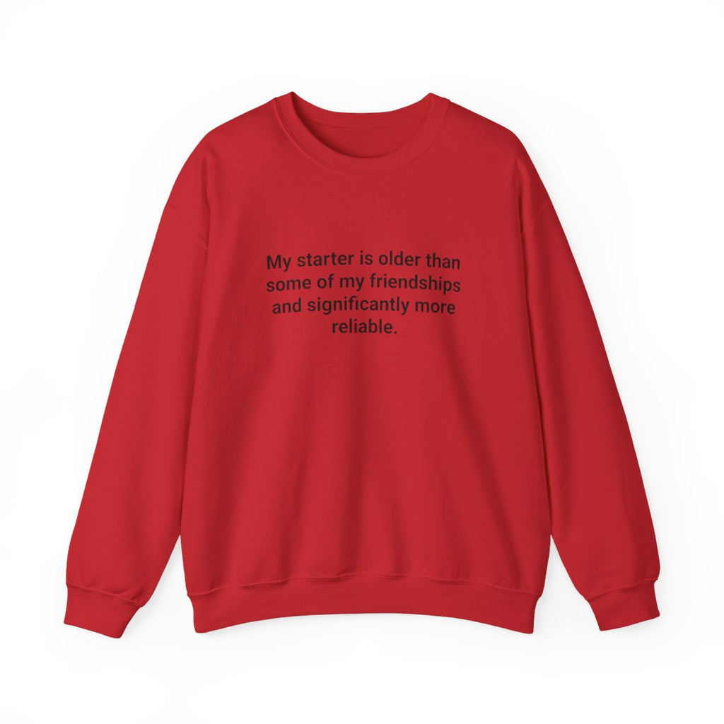 My Starter Is Older Than Some Friendships - Sourdough Sweatshirt